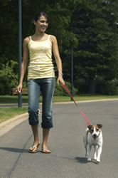 woman walking dog